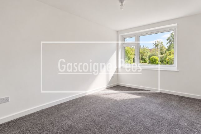15, Guildford photo 4