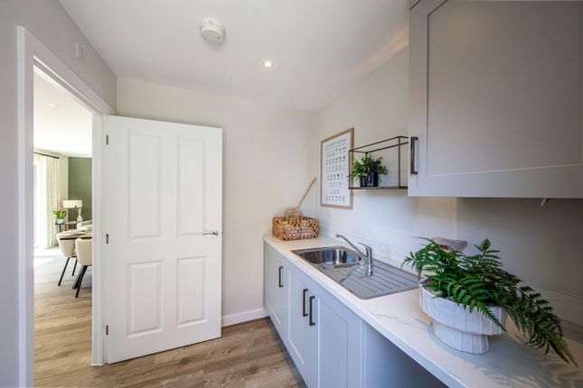 012, Long Meadow, Redhills, Exeter photo 4