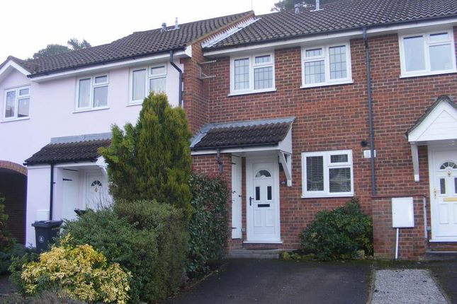 Terraced house to rent in Albert Road, Bagshot