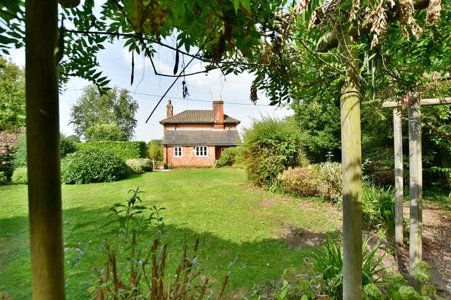 Cottage for sale in North Street, Sheldwich, Faversham, Kent