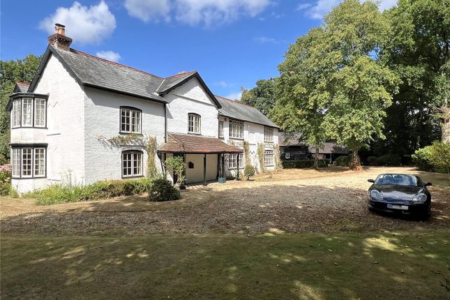 The Property