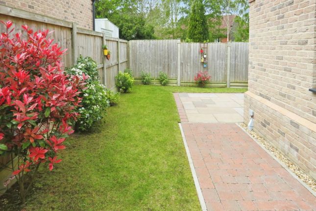 Detached bungalow for sale in Thetford Road, Brandon