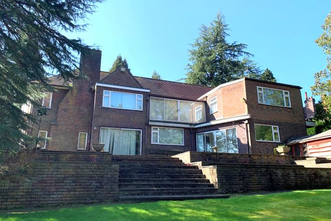 Kingscroft, Clay Lake, Stoke-on-Trent photo 3