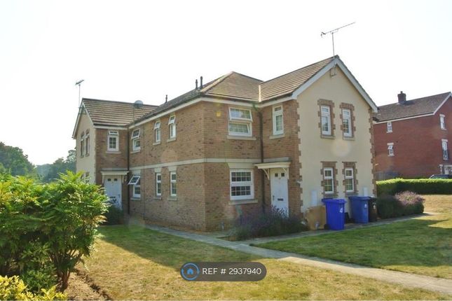Russet Drive, Red Lodge, Bury St. Edmunds photo 2