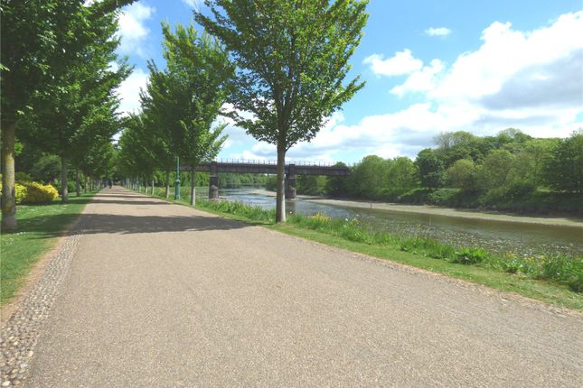 Avenham Park