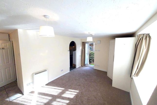 1 Bedroom Studio For Rent