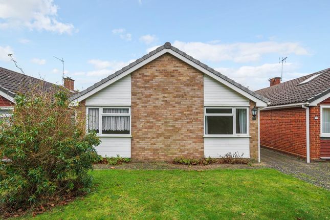 Detached bungalow to rent in Maidenhead, Berkshire