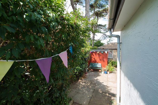 Dsc08722.Jpg