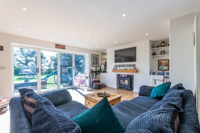 Lounge / Kitchen / Dining Room