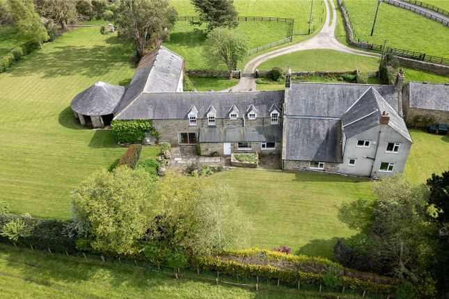 Aerial Rear