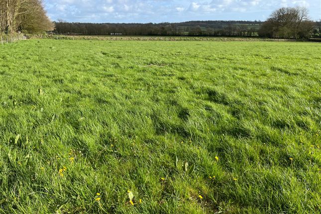 Land for sale in Crapstone, Yelverton