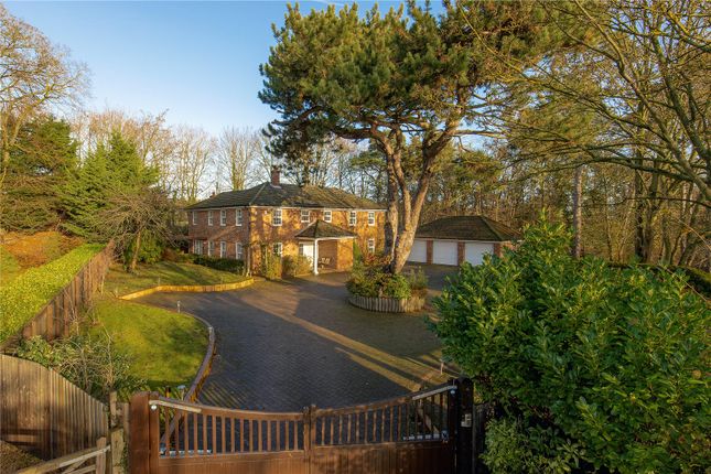 Thumbnail Detached house for sale in Windmill Hill, Exning, Newmarket, Suffolk