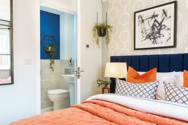 Showhome Photography