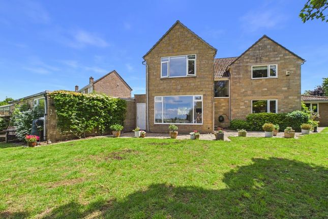 6, Hinton Close, Hinton St. George photo 3