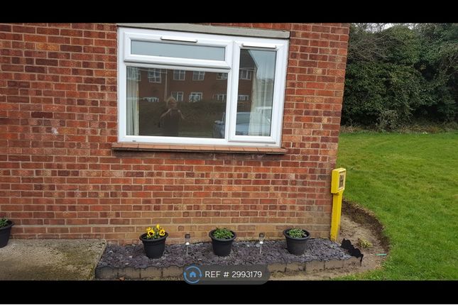Lilian Close, Norwich photo 2