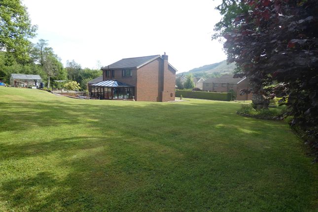 Rear View