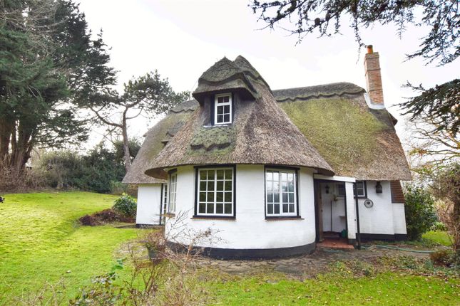 Thumbnail Detached house for sale in Cliff End Lane, Pett Level, Hastings