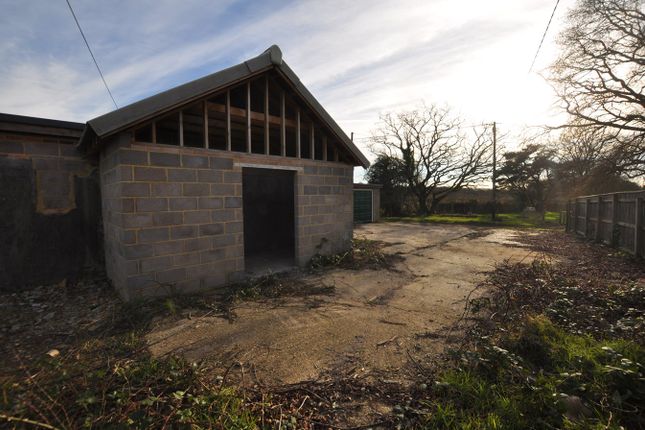 Barn conversion to rent in Lower Rowe, Holt, Wimborne