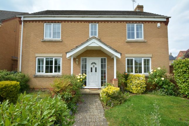 Thumbnail Detached house to rent in Holly Walk, Hampton Hargate, Peterborough