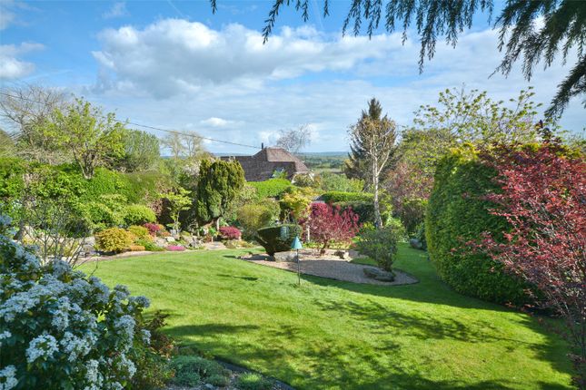 Station Road, Pulborough, West Sussex RH20, 5 bedroom detached house ...