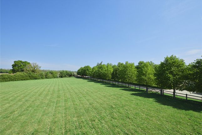 Paddock