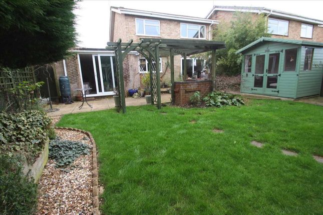 Detached house to rent in Begonia Close, Basingstoke