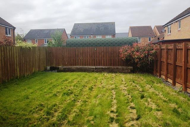 132, Charles Street, Boldon Colliery photo 4