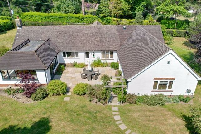 Thumbnail Detached bungalow for sale in Grayshott, Hindhead