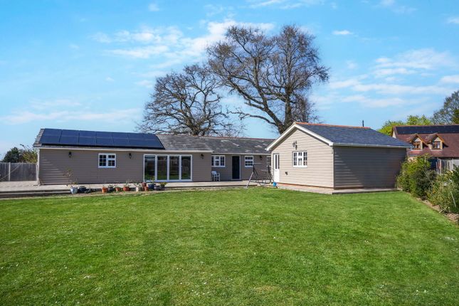 Thumbnail Bungalow for sale in Latchmore Bank, Great Hallingbury, Bishop's Stortford