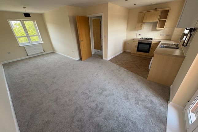 41 Cotton Court, River View, NORTHAMPTON photo 2