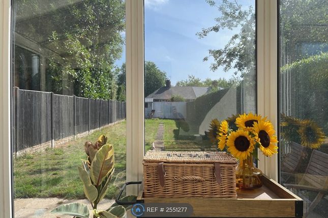 View From Conservatory