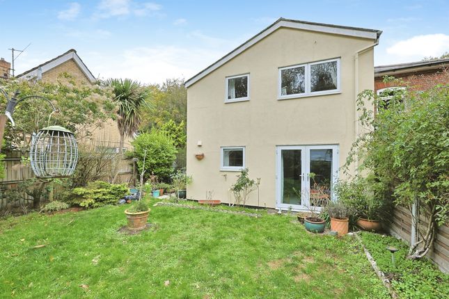 Plumstead Road East, Norwich photo 2
