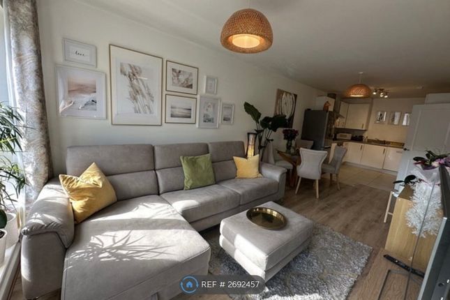 Open Plan Living Room