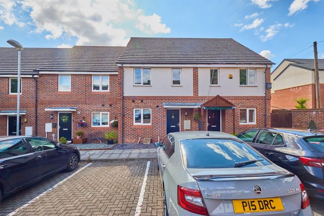 Willowbank Rd 9.Jpg