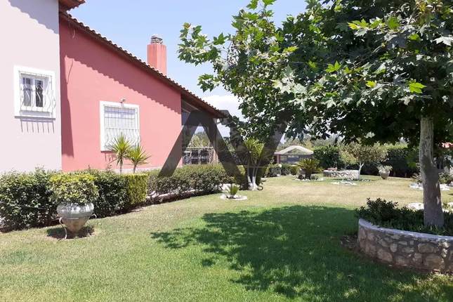 Detached house for sale in Niforeika, Dytiki Achaia, Achaea, Western Greece