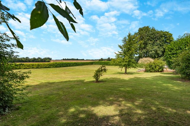 Grounds