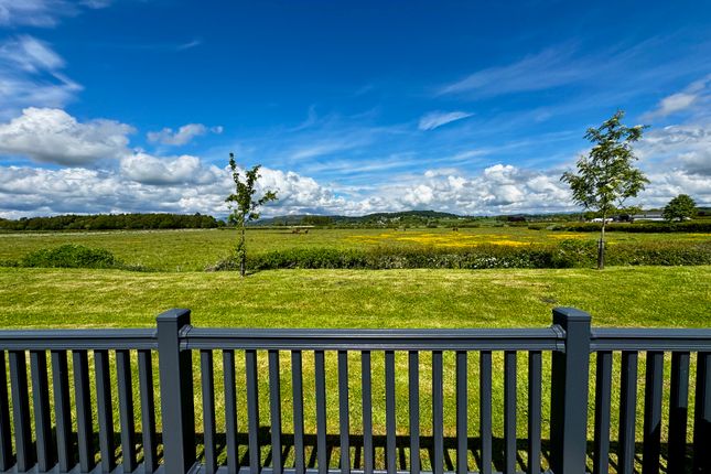 5 Gilpin Way, Lakesway Lodge Park, Levens photo 5