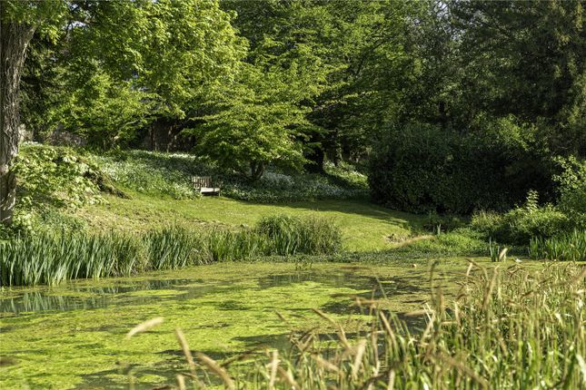 Pond