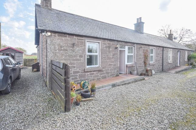 Thumbnail Cottage to rent in Cruik Cottages, Brechin, Angus