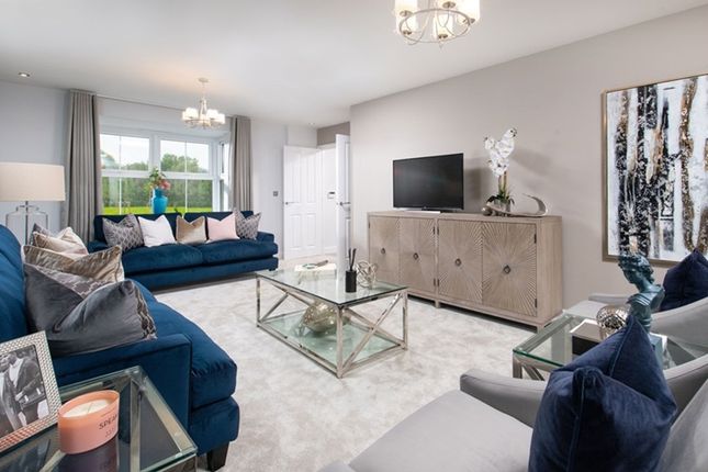 Plot 101, The Henley, Henley Gate, Ipswich photo 4
