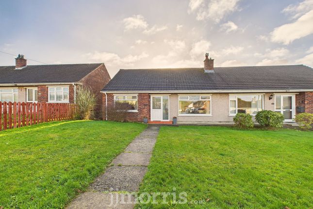 117 Maesglas, Cardigan photo 3