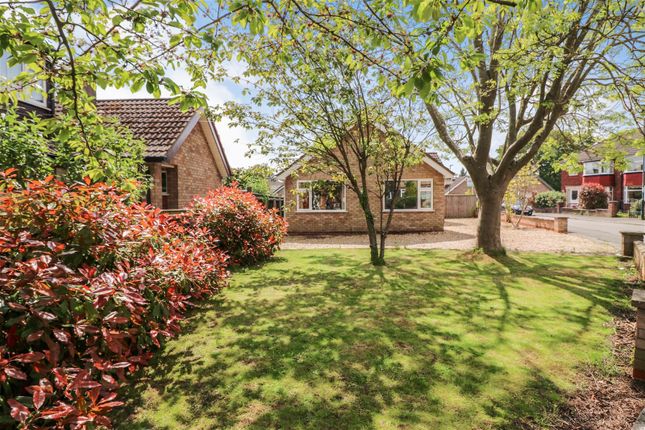Thumbnail Bungalow for sale in Philip Avenue, Waltham, Grimsby