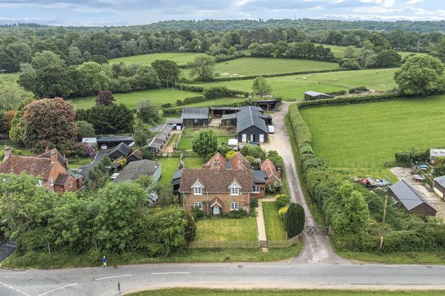 Thumbnail Equestrian property for sale in Brook, Lyndhurst