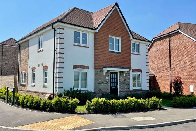 Thumbnail Detached house for sale in Dillmount Drive, Walton On Thames