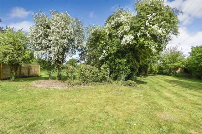 6, Pyotts Hill, Hampshire photo 2