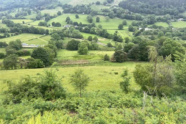 Land for sale in Tanycoed Land, Llangynog, Oswestry, Powys SY10