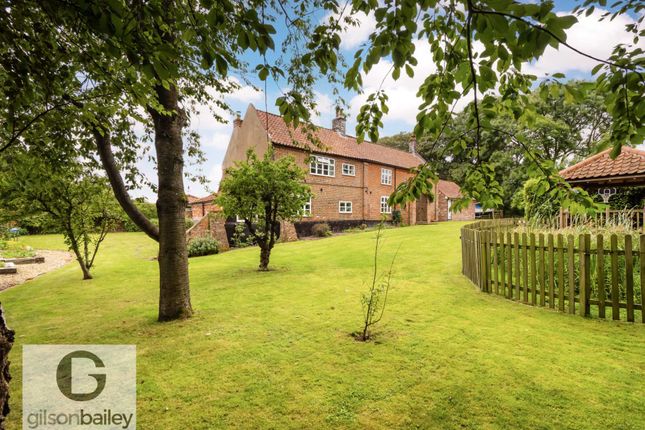 Detached house for sale in South Walsham Road, Panxworth