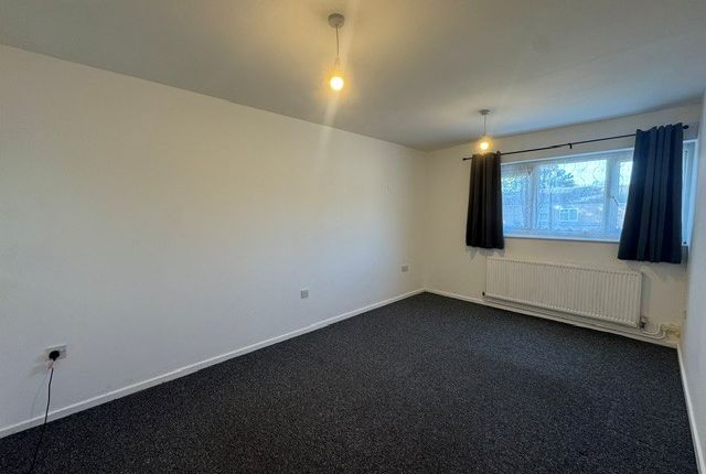 24, Birmingham photo 5