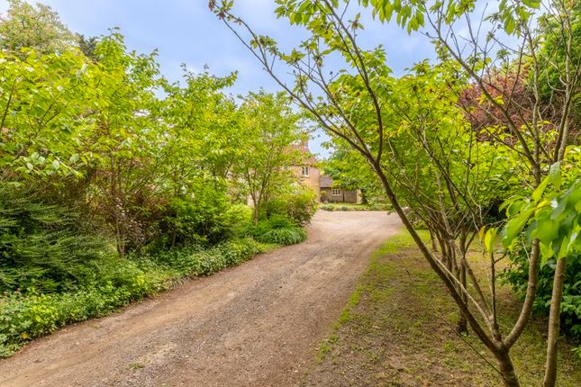 Bushmere, Hollow Lane, Blackboys photo 3
