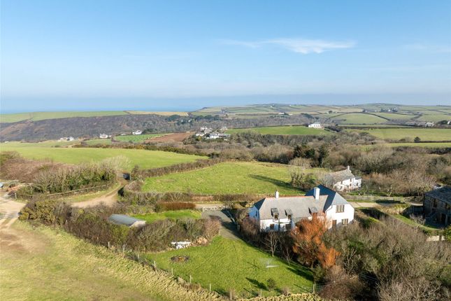 Thumbnail Detached house for sale in Crackington Haven, Bude